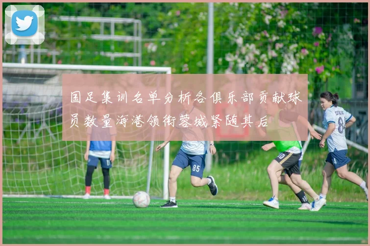 国足集训名单分析各俱乐部贡献球员数量海港领衔蓉城紧随其后